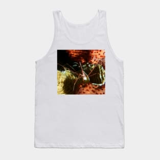 Arrow Crab at Night Tank Top